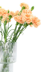 Isolated bouquet of orange carnation in a glass vase. Isolated flowers in a vase for interior decoration