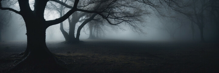 Misty Forest Scene at Dawn With Silhouetted Trees and a Mysterious Atmosphere