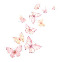 Pink peach flying vector watercolor butterflies. Excellent for wedding design, invitations, postcards. Hand painted illustration.