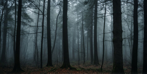 Obraz premium A Foggy Forest Panorama on a Gloomy Day
