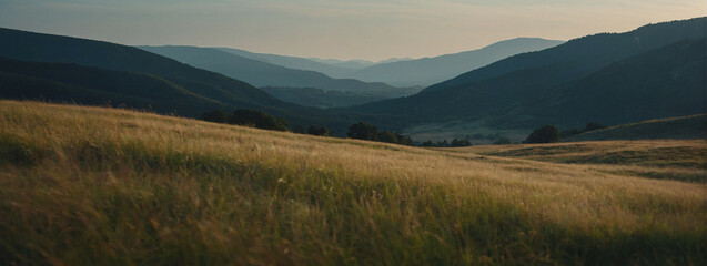 Fototapeta premium Grassy Field With Mountains in Background