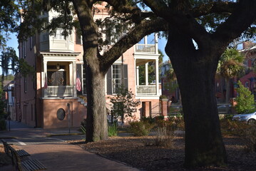 Place ombragée à Savannah. USA - 755719919