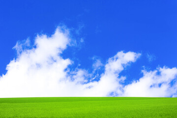 緑の草原と青空