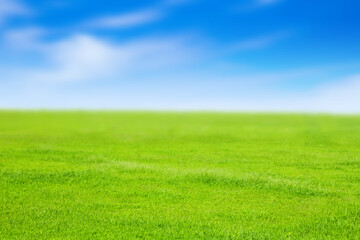 緑の草原と青空