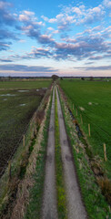 Fototapeta na wymiar Ground-level shot captures the allure of a rural road vanishing into the distance under a sky painted with dusk's pastel hues. Country Road Embraced by Twilight Sky: Aerial Journey Through Farmland