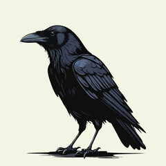 vector isolated of black crow
