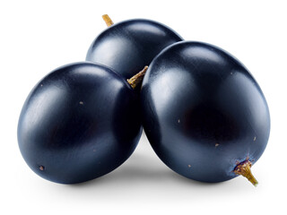 Grapes transparent PNG. Black blue grapes isolated on transparent or white background. Three dark blue grapes with transparent shadow.