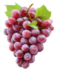 Grapes transparent PNG. Red grapes isolated on transparent or white background. Red grape with leaves. - 755723375