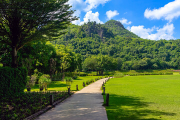 Fototapeta na wymiar Pathway passes through lush grassy fields amidst a beautiful tranquil nature with the mountains in background. Beautiful view of nature with green grass, lush trees, mountain and sky. Green Landscape.