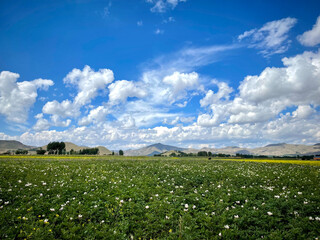 Beautiful landscape of a land used for agriculture in a small town called Villa Charcas