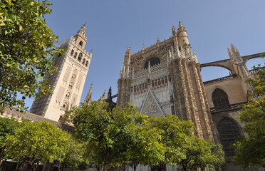 Saint Mary cathedral in Sevilla - 755725399