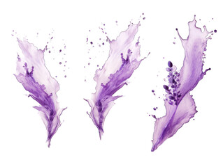 Set of lilac liquid wave splash water isolated on transparent background, transparency image, removed background