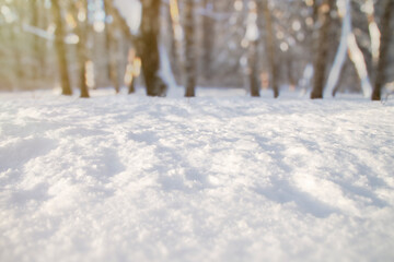 Close-up of snow. Template with empty snow surface in the park. Trees in blur in the background.