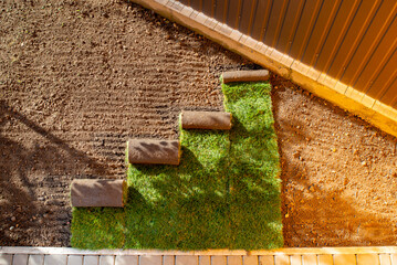 Stack of turf grass for lawn. roll of sod, turf grass roll.