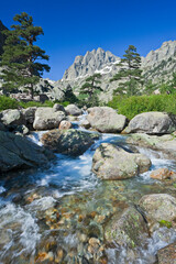 Frankreich, Korsika, Haute Corse, Lombarduccio, Gorges de la Restonica, Bach