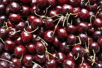 Wallpaper of cherries picked in the town of San Climent, Barcelona, Spain