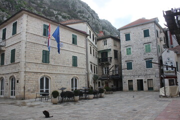 Kotor