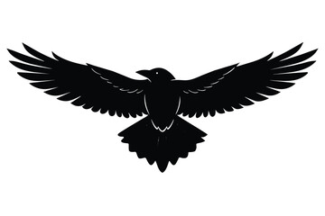 The underside of a flying crow Vector Design