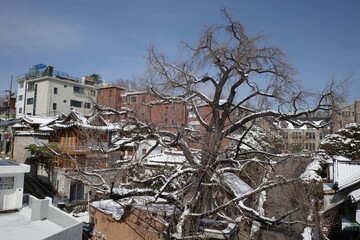 Hanok in Seoul with snowy weather. Winter in Seoul. Winter in Korea.