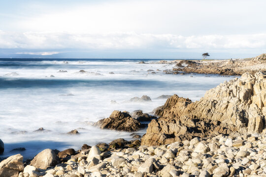 Famous cipress at 17-mile drive