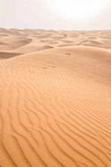 Fototapeta na wymiar Beautiful grand desert with big yellow dunes at hot sunny day