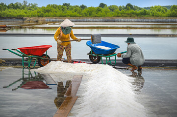 Farmers are harvesting salt in Ly Nhon, Can Gio district, Ho Chi Minh City, Vietnam. The salt making profession has a long history in this locality and salt is supplied mainly to people in Ho Chi Minh