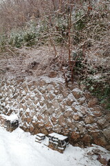 Korea's winter, a cozy winter house, and a snowy Seoul garden.