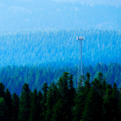 Radio Cell Tower in Pine Forest Wilderness Communications System