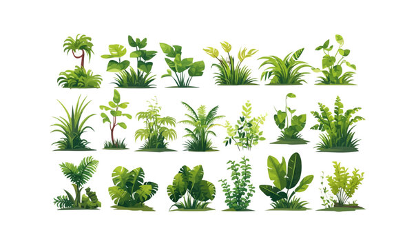 Rainforest vegetation set vector flat isolated vector style illustration