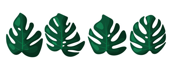Vector tropical leaves set. Mostera green leafs isolated on white background. © VctAn