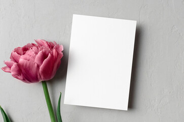 Fototapeta premium Invitation or greeting card mockup with fresh peony flowers on grey background