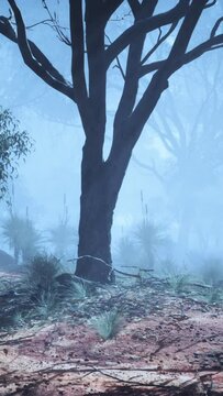 An artistically captivating representation of an Australian foggy forest, where trees emerge from the mist, creating an enigmatic ambiance.