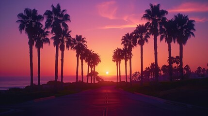 Silhouetted Palm Trees at Sunset by the Beach. Vibrant sunset sky silhouetting palm trees along a serene beachfront road, evoking a tranquil and picturesque end of the day.