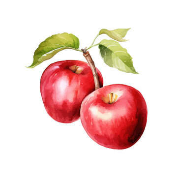 watercolor apple clipart for graphic resources