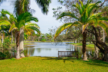 Nice resting bench in a beautiful Florida park near Miami