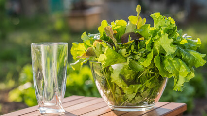 A plate with lettuce leaves and an empty glass nearby. Ingredients for vitamin drink