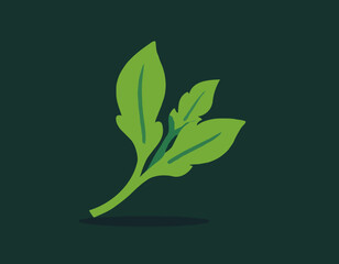 Rucola or arugula icon 
