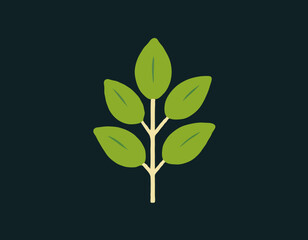 Rucola or arugula icon 
