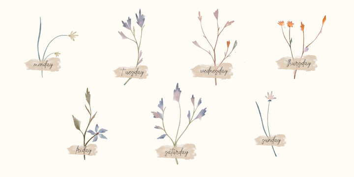 Vector handwritten week days on a wild flowers. Ink font. Stickers for planner and other. Clipart. Stickers with filed flowers in watercolour style