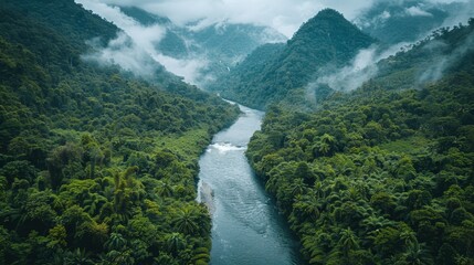 Serene river running through lush valley