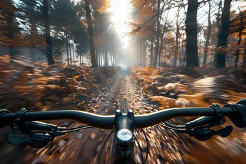  Cycling Through the Forest A Journey of Discovery and Rejuvenation © TEERAWAT