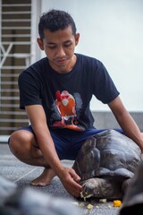 Aldabra giant tortoise with its owner