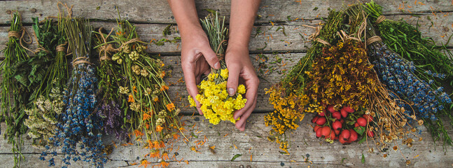 A woman holds medicinal herbs in her hands. Selective focus.