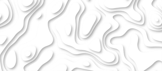 Abstract geometric layered curve line white background. 3d white papercut topography relief. Cover layout template. paper cut topography soft background banner texture. light liquid wave illustration.