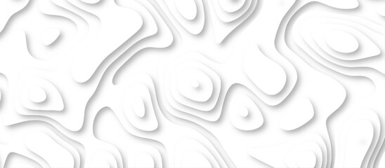 Abstract geometric layered curve line white background. 3d white papercut topography relief. Cover layout template. paper cut topography soft background banner texture. light liquid wave illustration.