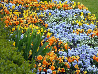 Spring in Warnem&uuml;nde (Baltic Sea, Germany)