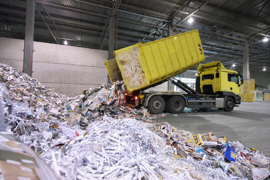 waste paper recycling for the production of new paper for the printing industry - waste paper storage and sorting plant