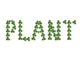 Plant word made of green leaves png. green leaves png 
 green grass alphabet letters