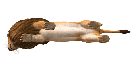 Lion isolated on a Transaprent BAckground