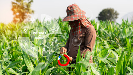 Agriculture technology farmer man using tablet computer analysis data and visual icon. vegetable...